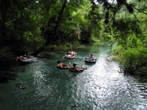 Kelly Park/Rock Springs: Beautiful park, cool swimming hole, shaded  campground