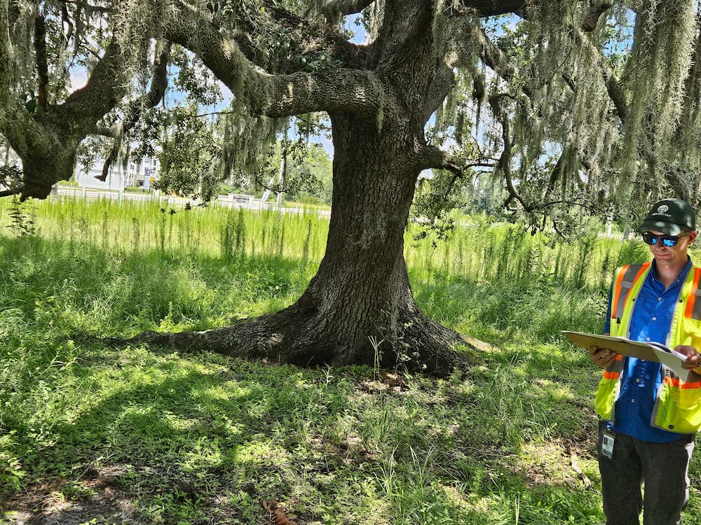 Photo of the Orange County Arborist Team