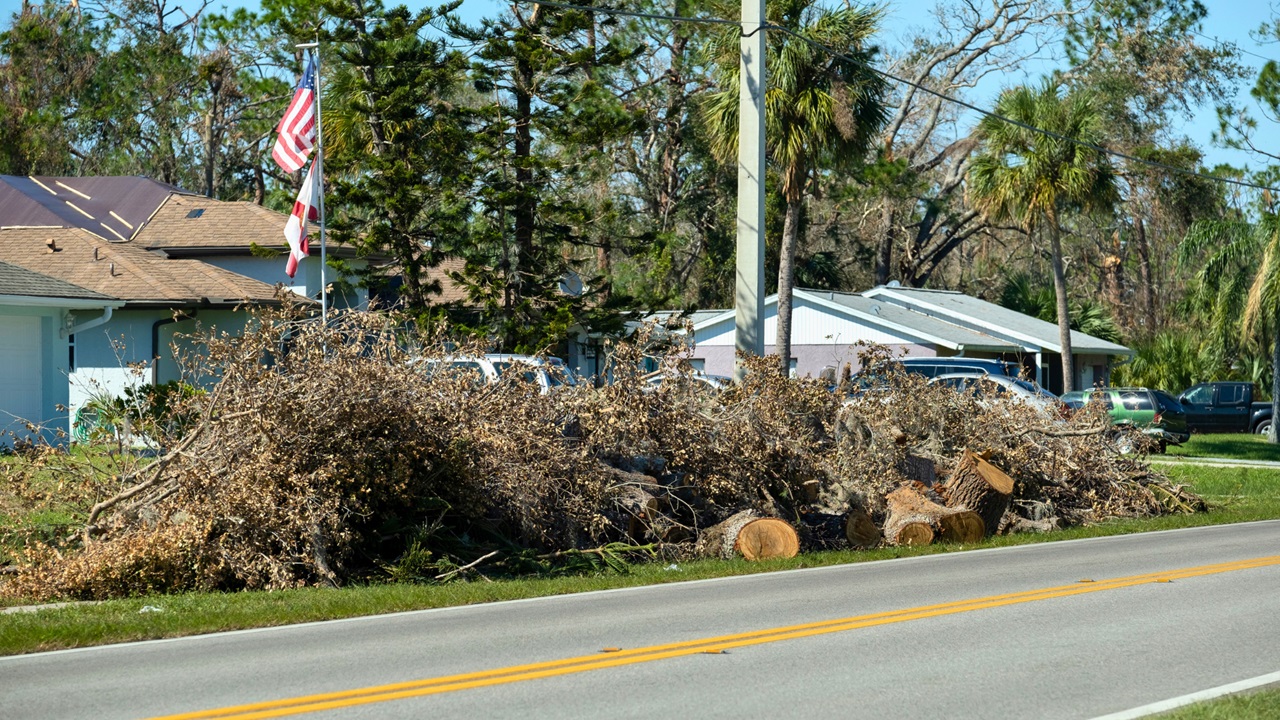 Storm debris on side of road.